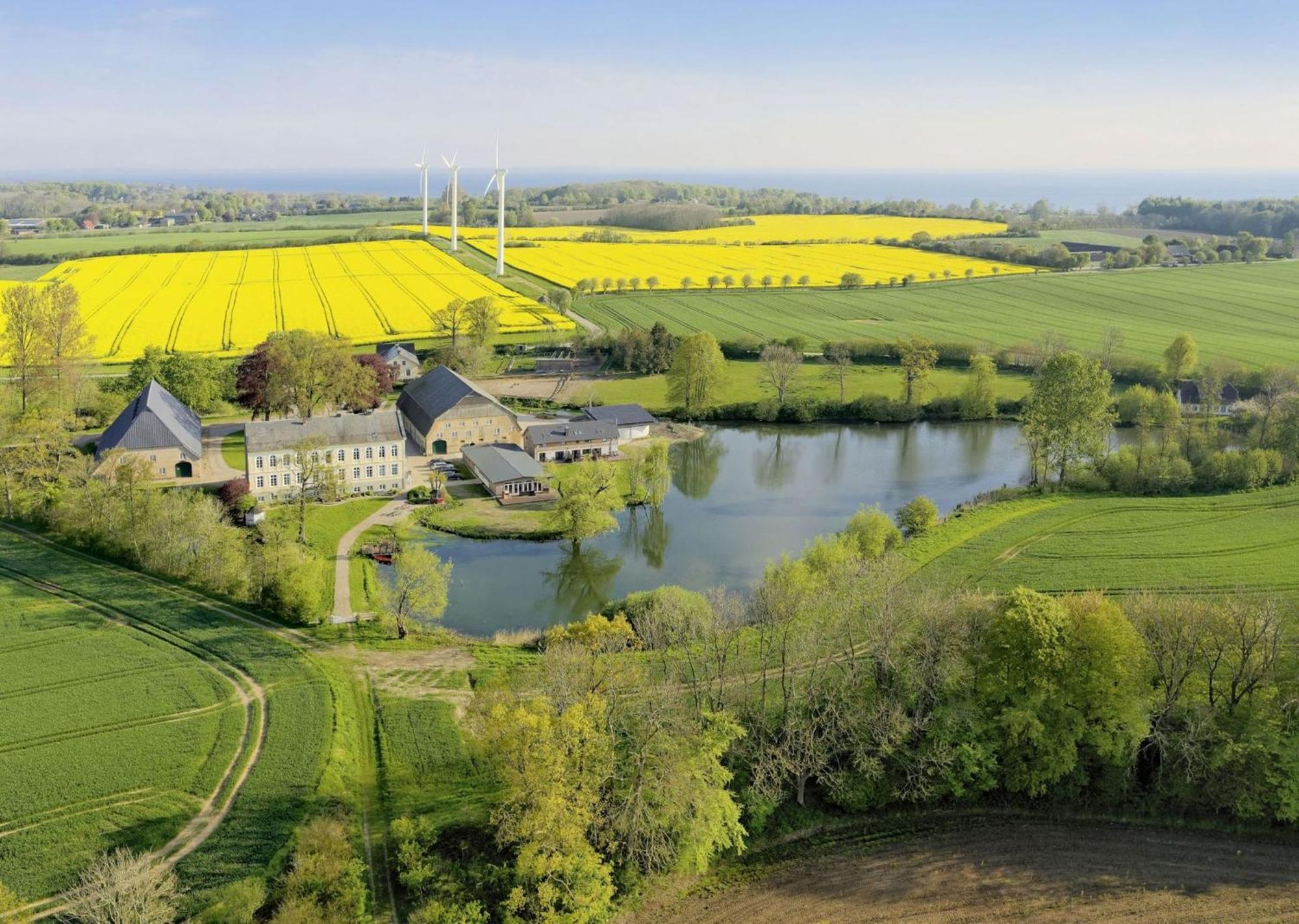 Ferienwohnungen Herrenhaus Gut Oestergaard 스타인베르크 외부 사진